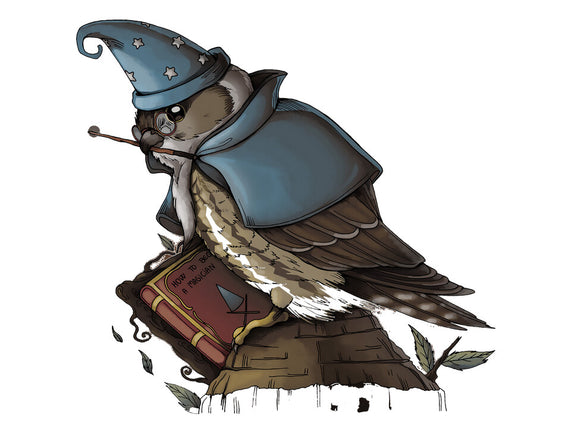 Merlin Bird