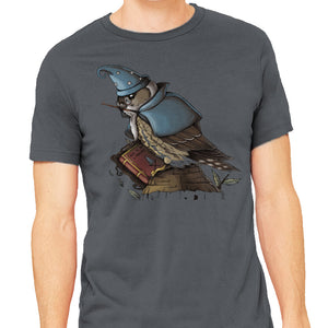 Merlin Bird