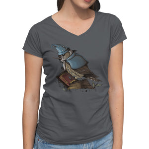 Merlin Bird