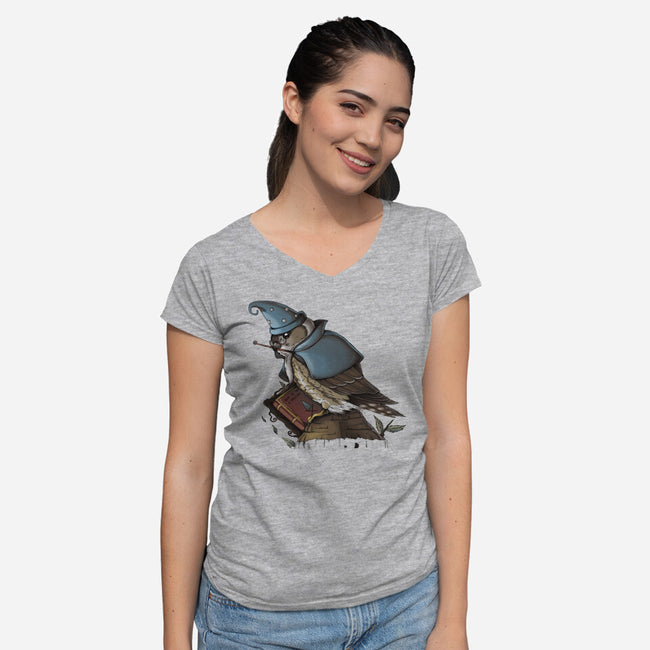 Merlin Bird-Womens-V-Neck-Tee-Vallina84