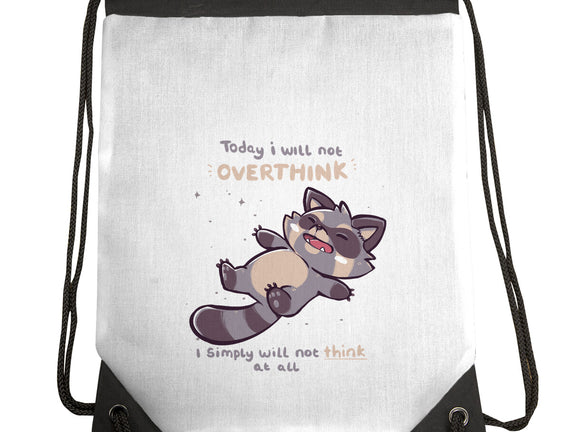 No Thoughts Raccoon