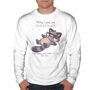 No Thoughts Raccoon
