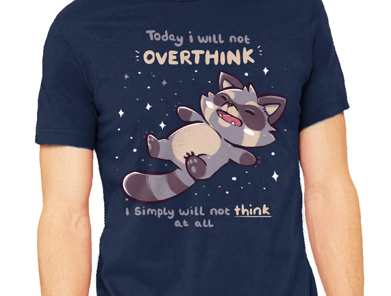 No Thoughts Raccoon