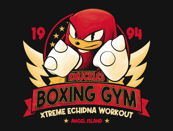 Knuckles Boxing Gym