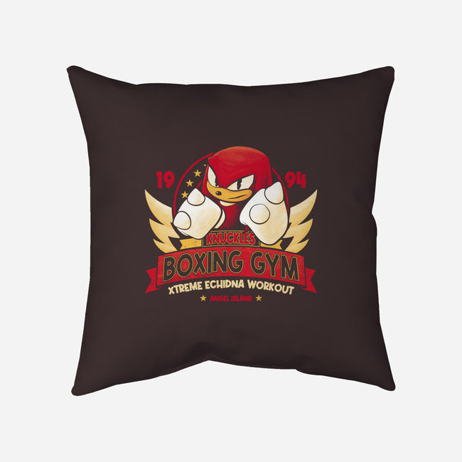 Knuckles Boxing Gym-None-Removable Cover w Insert-Throw Pillow-teesgeex
