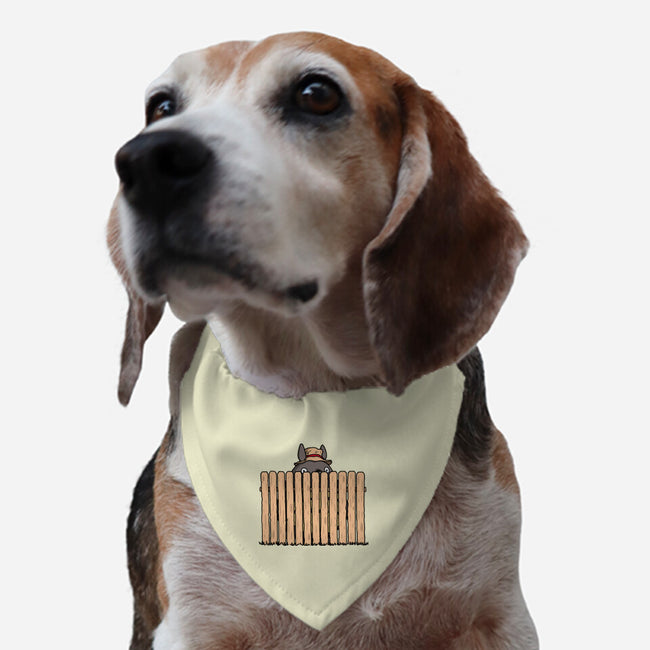 Hidden Neighbor-Dog-Adjustable-Pet Collar-Raffiti