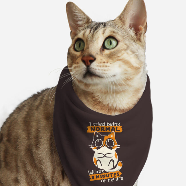 Normal To Worst-Cat-Bandana-Pet Collar-Xentee