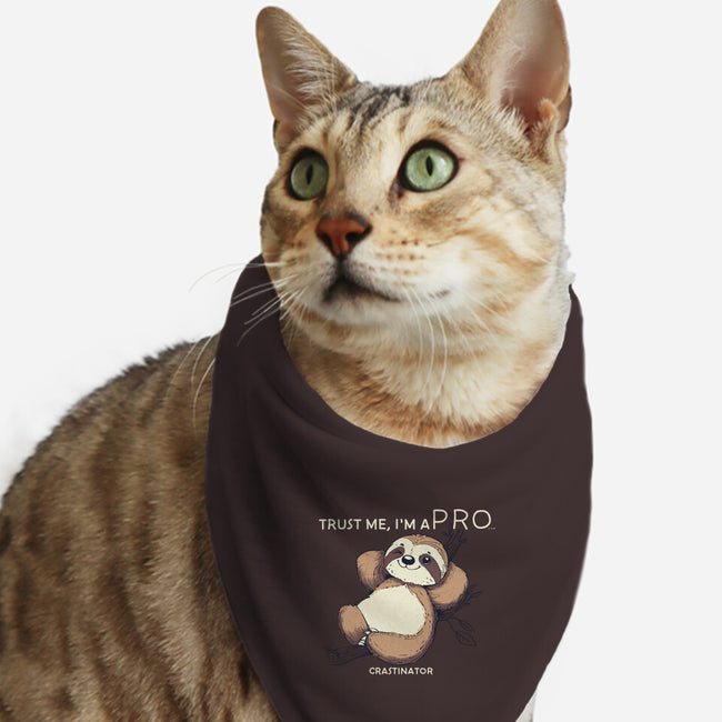 I'm A Pro-Cat-Bandana-Pet Collar-sebasebi