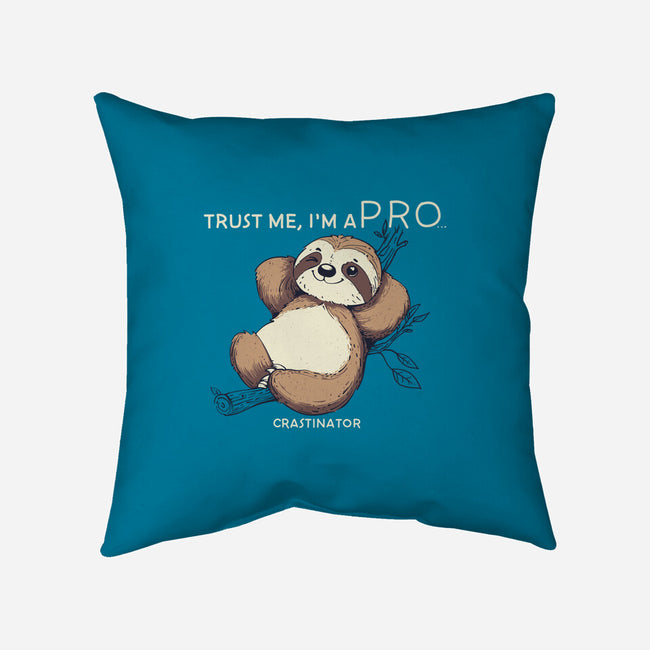 I'm A Pro-None-Non-Removable Cover w Insert-Throw Pillow-sebasebi