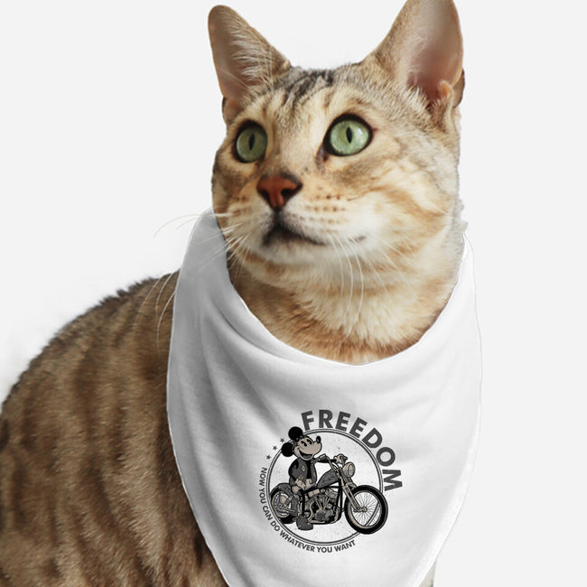 Freedom MC-Cat-Bandana-Pet Collar-Hafaell