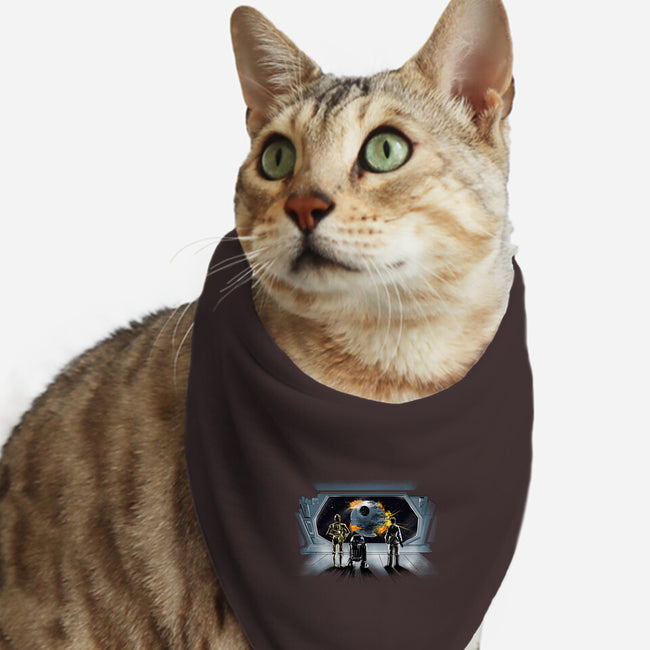 Project Skyhook-Cat-Bandana-Pet Collar-zascanauta