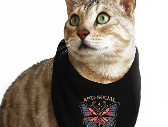 Anti-Social Butterfly