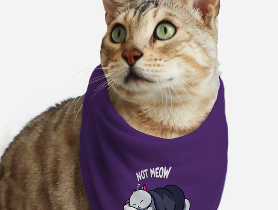 Not Meow