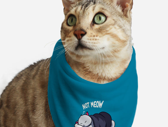 Not Meow