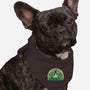 Lucky Little Frog-Dog-Bandana-Pet Collar-TechraNova