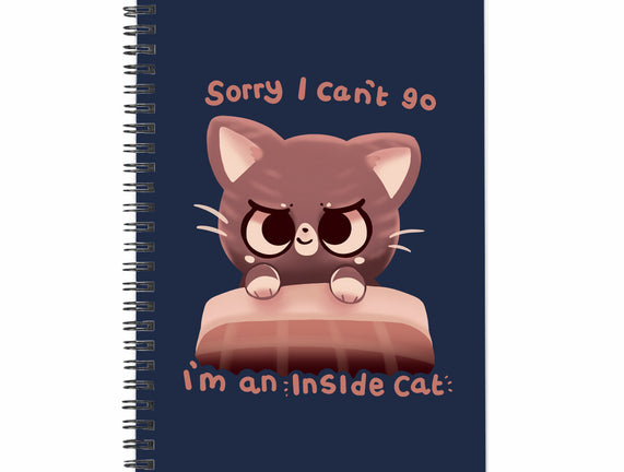 Inside Cat