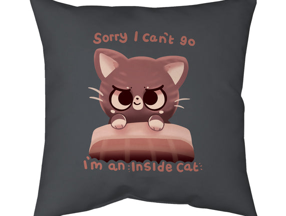 Inside Cat