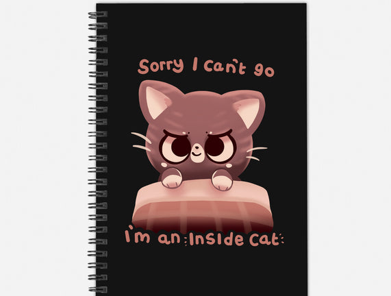 Inside Cat