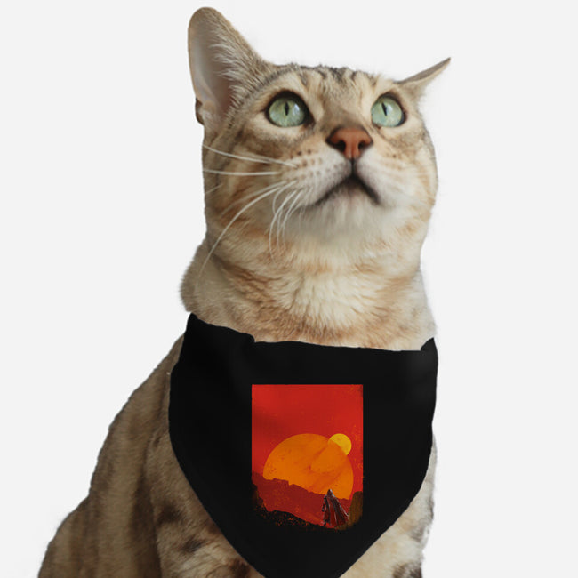 The Spice Hunter-Cat-Adjustable-Pet Collar-kharmazero