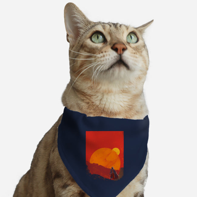 The Spice Hunter-Cat-Adjustable-Pet Collar-kharmazero