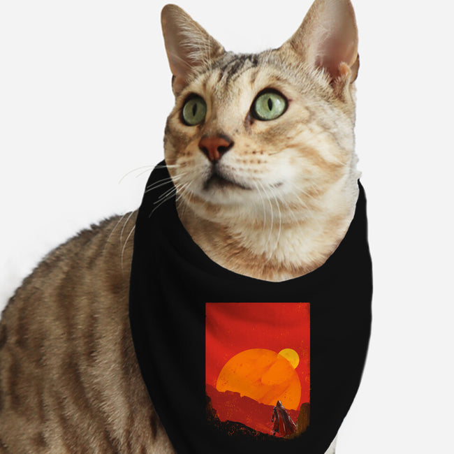 The Spice Hunter-Cat-Bandana-Pet Collar-kharmazero