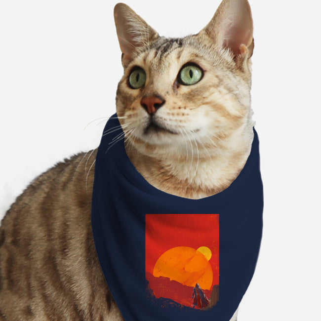 The Spice Hunter-Cat-Bandana-Pet Collar-kharmazero