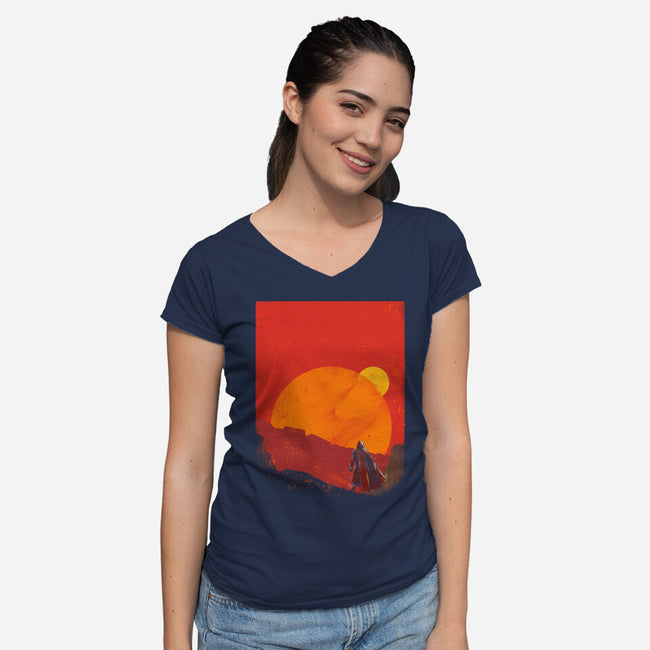 The Spice Hunter-Womens-V-Neck-Tee-kharmazero