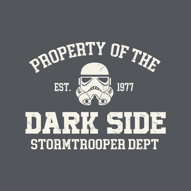 Property Of Dark Side-Dog-Bandana-Pet Collar-Melonseta