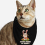 Books Make Me Hoppy-Cat-Bandana-Pet Collar-tobefonseca