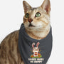 Books Make Me Hoppy-Cat-Bandana-Pet Collar-tobefonseca