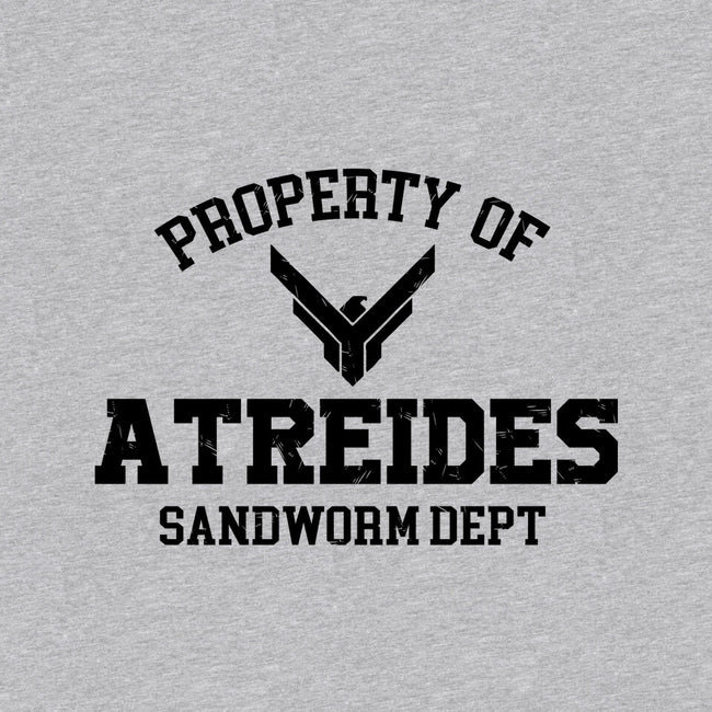 Property Of Atreides-Youth-Pullover-Sweatshirt-Melonseta