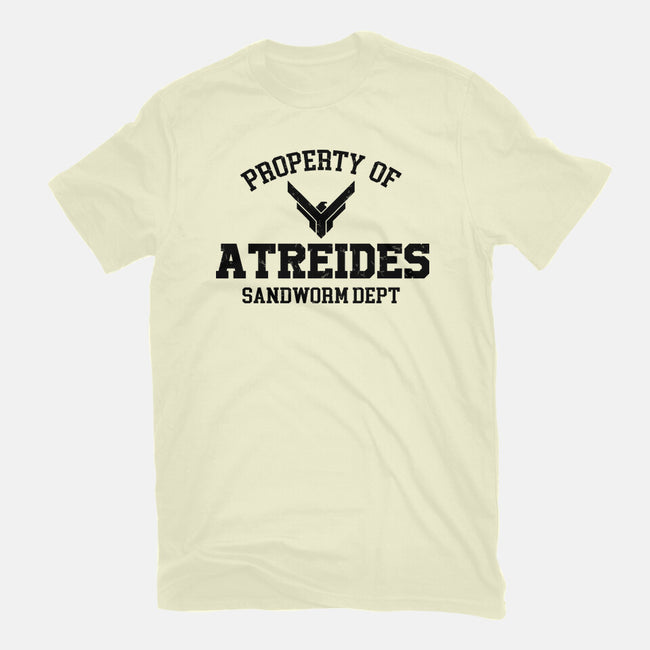 Property Of Atreides-Mens-Premium-Tee-Melonseta