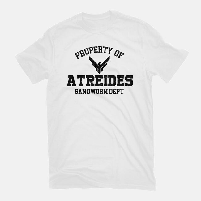 Property Of Atreides-Womens-Fitted-Tee-Melonseta