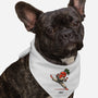 Carrate-Dog-Bandana-Pet Collar-fanfreak1