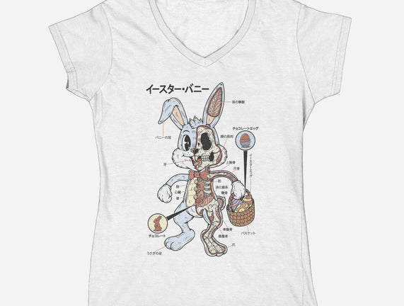 Easter Bunny Anatomy