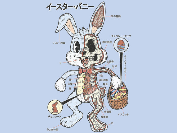 Easter Bunny Anatomy