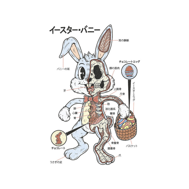 Easter Bunny Anatomy-Womens-Basic-Tee-Firebrander