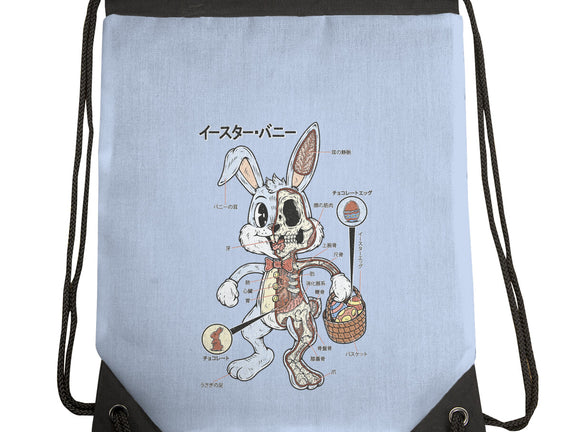 Easter Bunny Anatomy