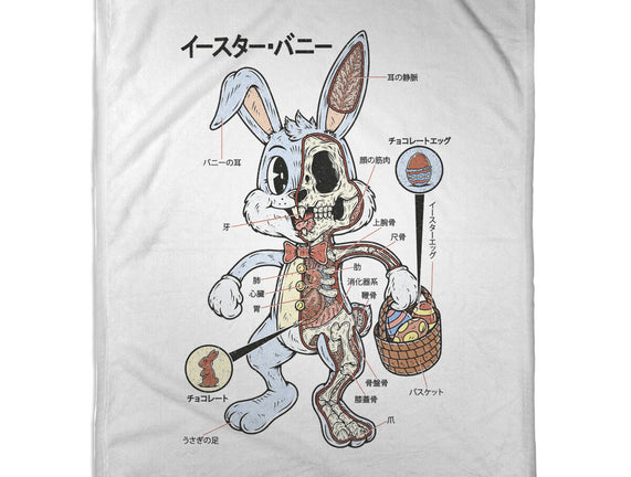 Easter Bunny Anatomy