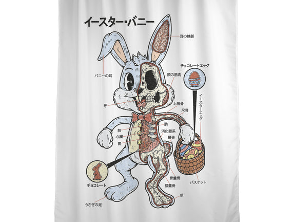 Easter Bunny Anatomy