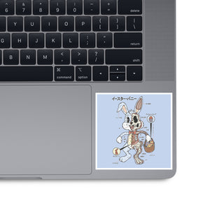 Easter Bunny Anatomy