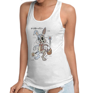 Easter Bunny Anatomy