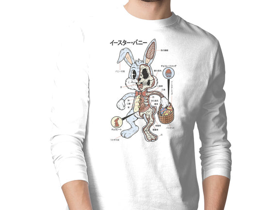 Easter Bunny Anatomy