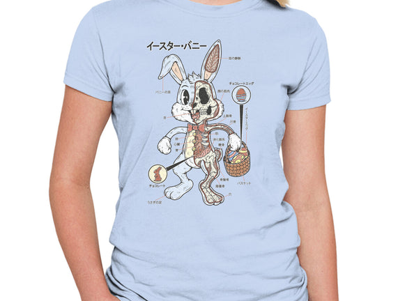 Easter Bunny Anatomy