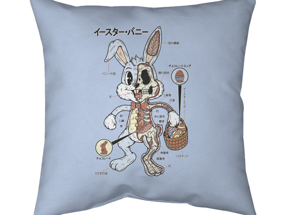 Easter Bunny Anatomy