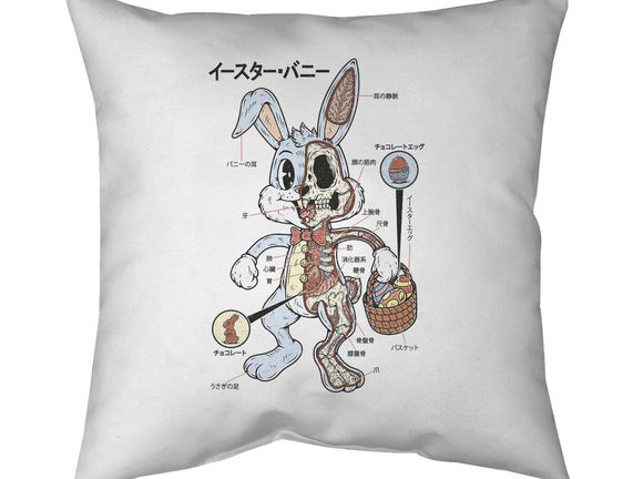 Easter Bunny Anatomy