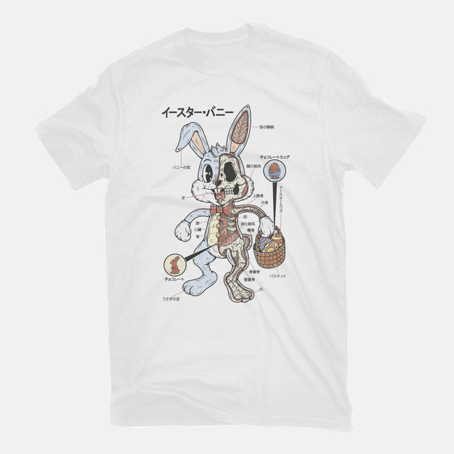 Easter Bunny Anatomy-Mens-Heavyweight-Tee-Firebrander