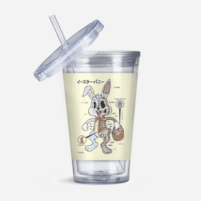 Easter Bunny Anatomy-None-Acrylic Tumbler-Drinkware-Firebrander