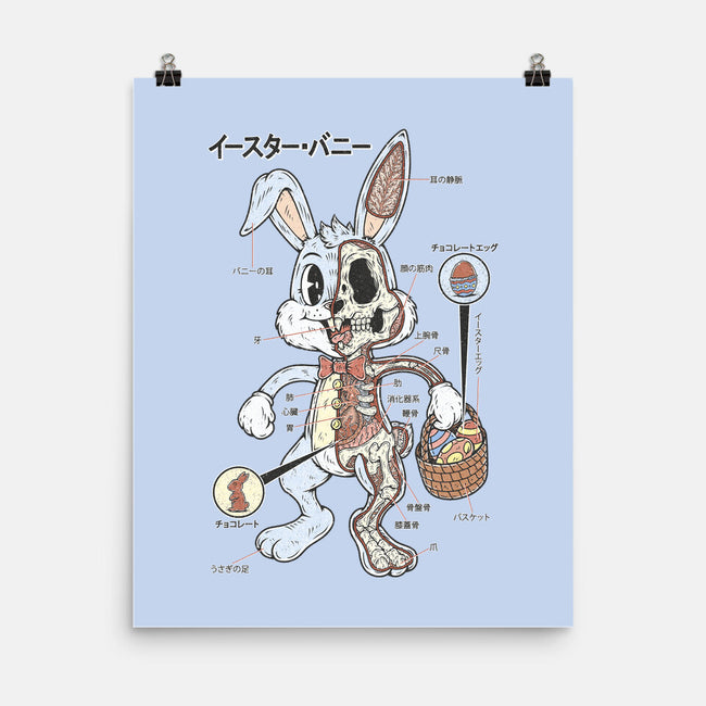 Easter Bunny Anatomy-None-Matte-Poster-Firebrander