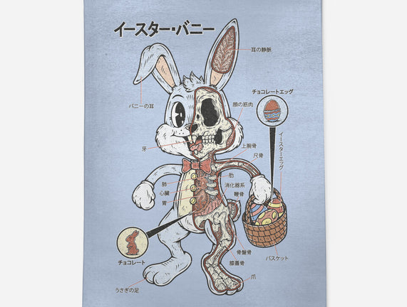 Easter Bunny Anatomy